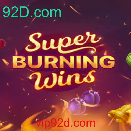 Uma Análise Detalhada de SuperBurningWins: Características e Regras