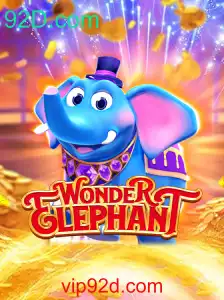 Descubra o Universo Fascinante de WonderElephant